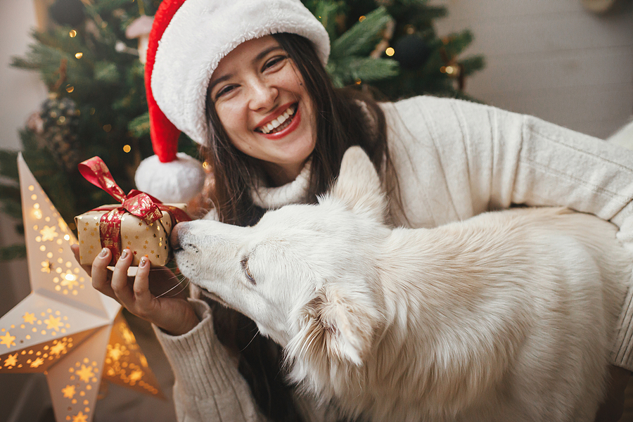 Tips to Have Teeth-Friendly Christmas Celebrations